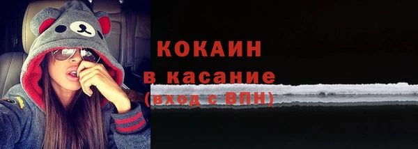 винт Каменка