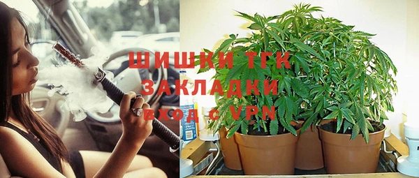 герыч Арсеньев