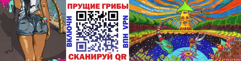Галлюциногенные грибы Psilocybe  МЕГА зеркало  Магадан  где найти  